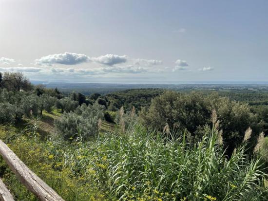 pakravan_papi_un_trampolino_di_vigne_vista_mare